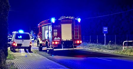 Konie wybiegły na jezdnię. Kierowca w szpitalu