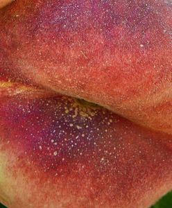 Ma kosmiczną nazwę, ale nie omijaj jej w sklepie. Pomaga zachować młodość na dłużej