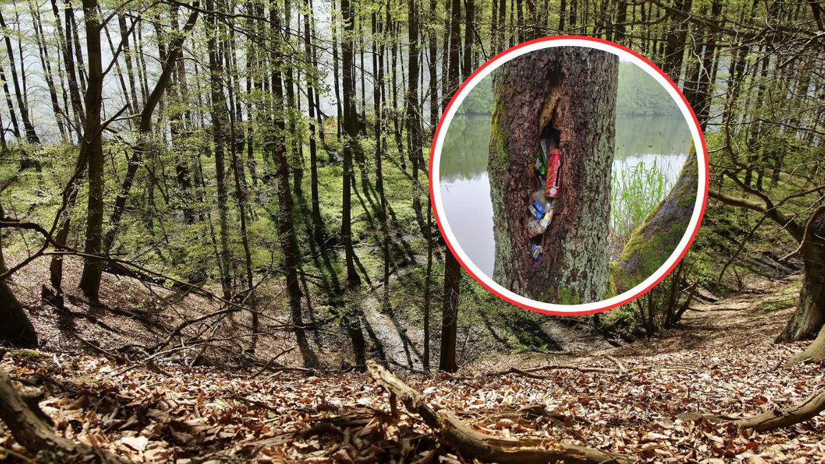 Śmieci w dziuplach, ognisko przy jeziorze. Leśnicy nie kryją obu