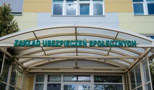 "Czas permanentnej inwigilacji"? Algorytm ZUS ma tropić fikcyjne B2B