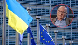 Sankcje na Rosję. Ekspert dosadnie o ciosach w Putina: miały ograniczony charakter