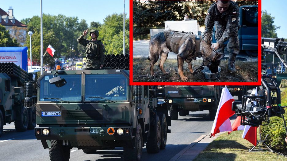 Defilada Wojska Polskiego