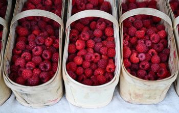 To prawdziwe superfood. Znajdziesz w każdym warzywniaku