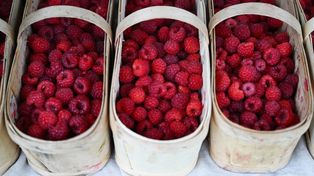 To prawdziwe superfood. Znajdziesz w każdym warzywniaku