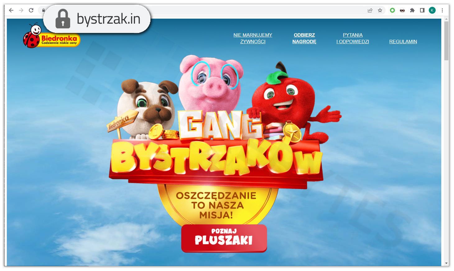 Fałszywa strona Gangu Bystrzaków Biedronki