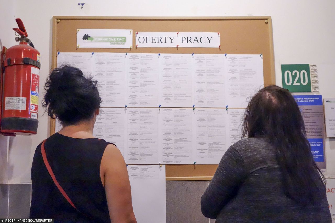Rewolucja na rynku pracy. Wysyp ofert w branży IT. "Mamy ogrom pracy"