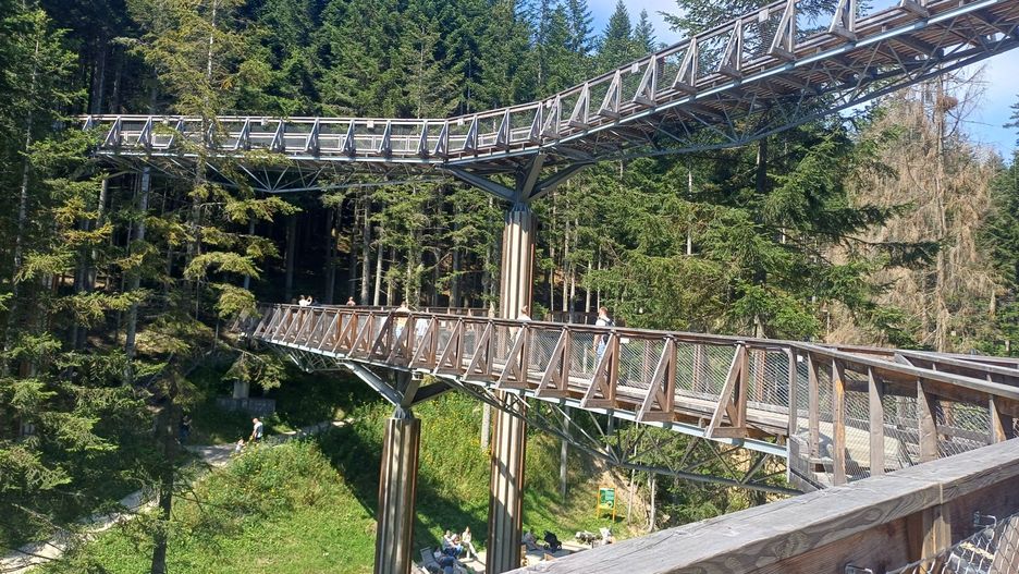 14.08.2025. Brama w Gorce, Waksumund, spacer w koronach drzew, atrakcja turystyczna w górach