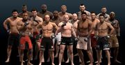 Pierwszy trailer z MMA na iPhone?a [wideo]