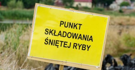 Powstała nowa zbrojna służba po katastrofie na Odrze. Ale jej dni mogą być policzone