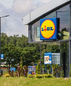 Promocja w Lidlu. Kup 16 piw, zapłać za połowę