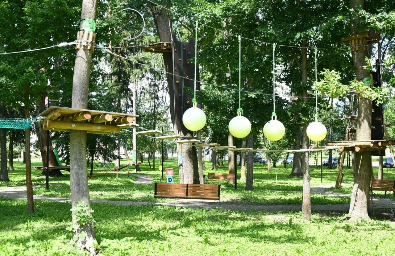 Park Linowy "Małpi Gaj" w Busku-Zdroju do rozbiórki? Jest niepokojąca ekspertyza