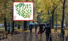 Ponuro i deszczowo. W poniedziałek w pogodzie gorsza strona jesieni