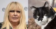 Maryla Rodowicz uczy swoje koty języka  bułgarskiego