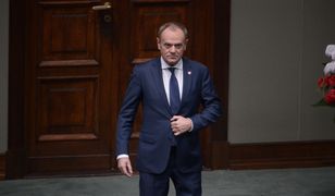 Niemcy piszą o powrocie Tuska. "PiS odbierało Polsce tlen"