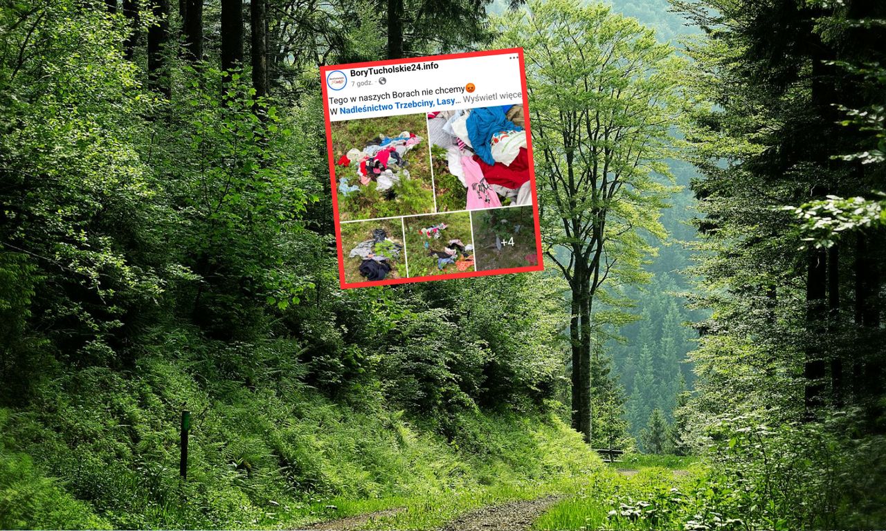 Takie rzeczy wyrzucono do lasu. Pampersy to początek