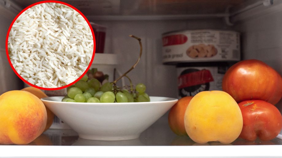 Jak pozbyć sie wilgoci w lodówce?