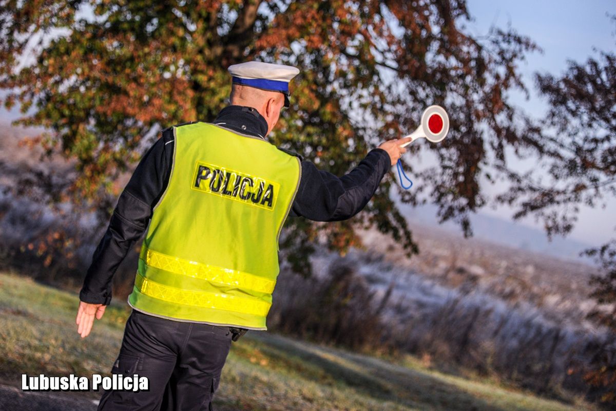 Zasady dla kierujących podczas kontroli drogowej. O jednej rzeczy nie zapomnij