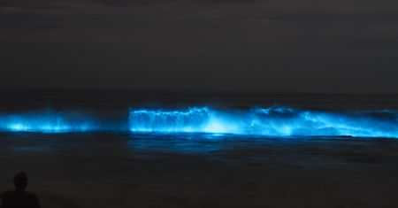 Ocean świecił na niebiesko. Zjawisko nazywane jest "zorzą morską"