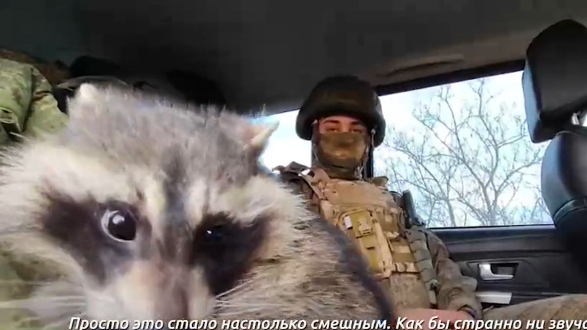 Rosjanie ukradli z Chersonia szopa