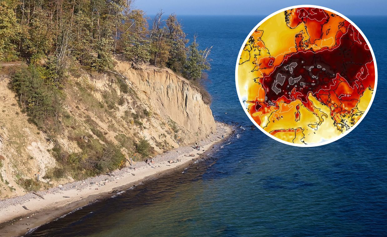 "To będzie jak uderzenie". Wiemy, kiedy fala ciepła dotrze do Polski