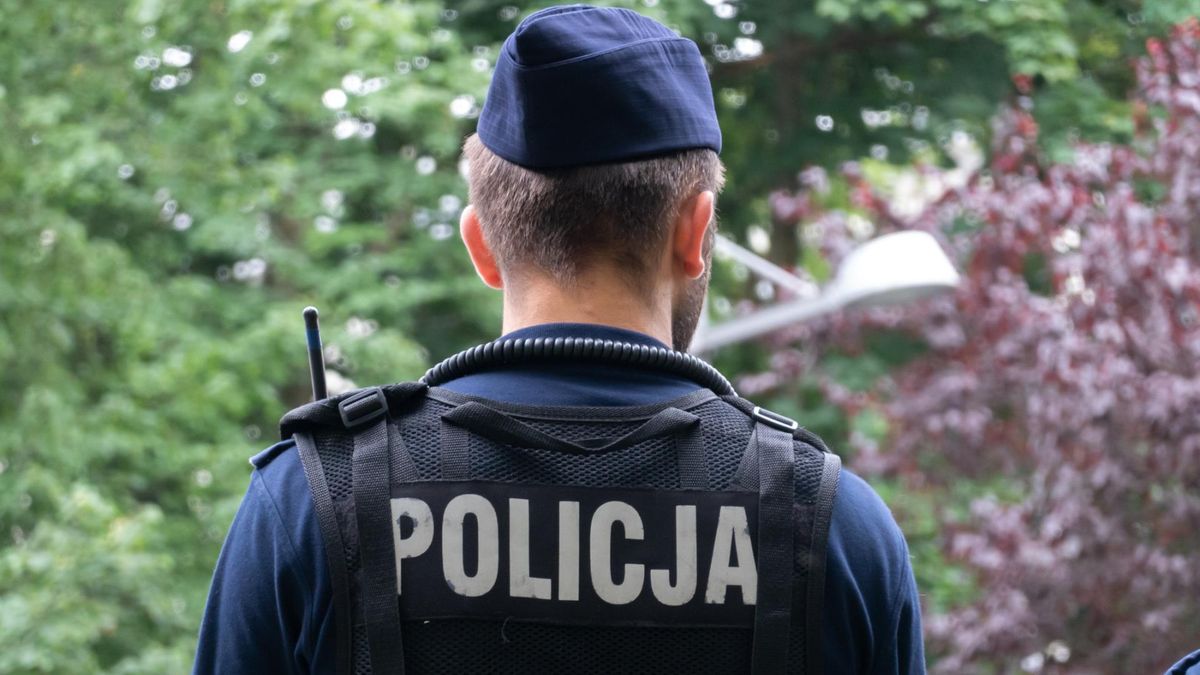 Babcia zgubiła pięcioletnią wnuczkę w lesie. Policja apeluje