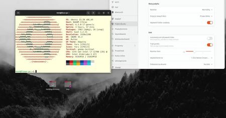 Snap Store – przemycenie złośliwego kodu w Linux. Czy jest się czego obawiać?