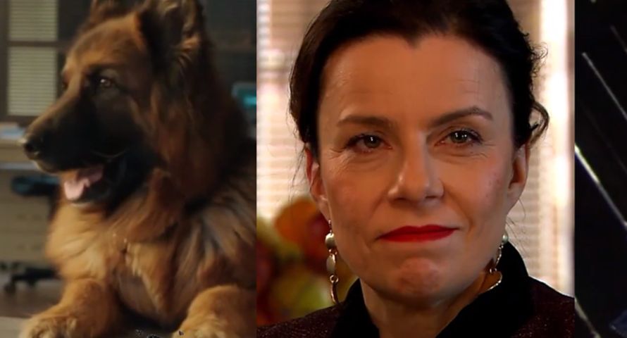 TOP 10 kanałów filmowych. Nie ma mocnych na kanał TVP