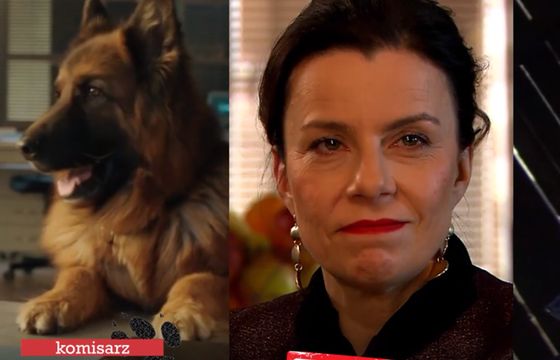 TOP 10 kanałów filmowych. Nie ma mocnych na kanał TVP