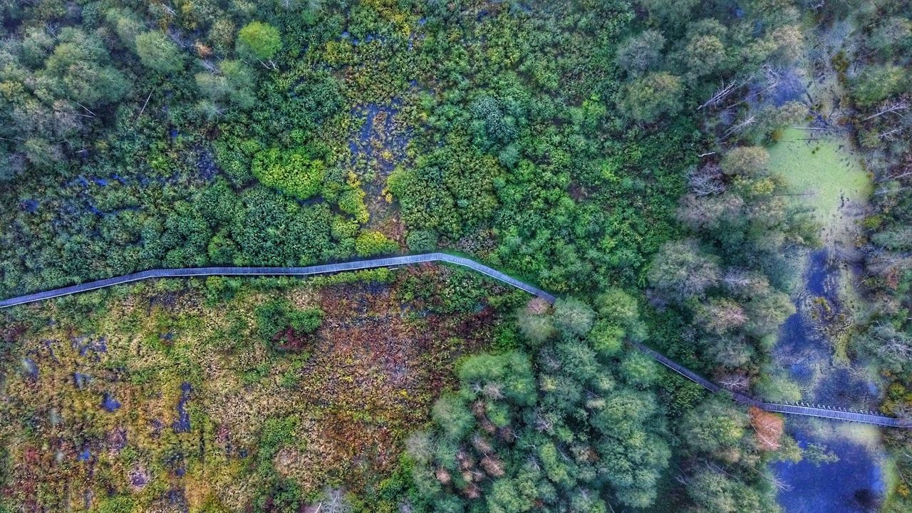 Europejski Dzień Obszarów Natura 2000. Najpiękniejsze chronione obszary przyrodnicze w Polsce