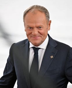 Koalicjanci pod progiem w nowym sondażu. Tusk: podciągną szyki