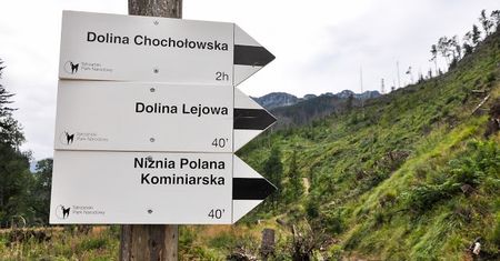 Dolina Lejowa