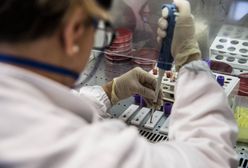 Koronawirus. Rząd rozpoczyna luzowanie obostrzeń. Od 20 kwietnia nowe zasady. Najnowsze informacje na temat pandemii [Relacja na żywo]