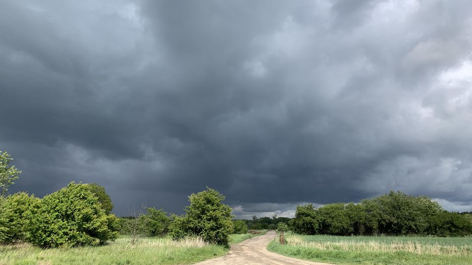 Wrocław. Gdzie jest burza? Parno i duszno, ale opady nam nie pomogą