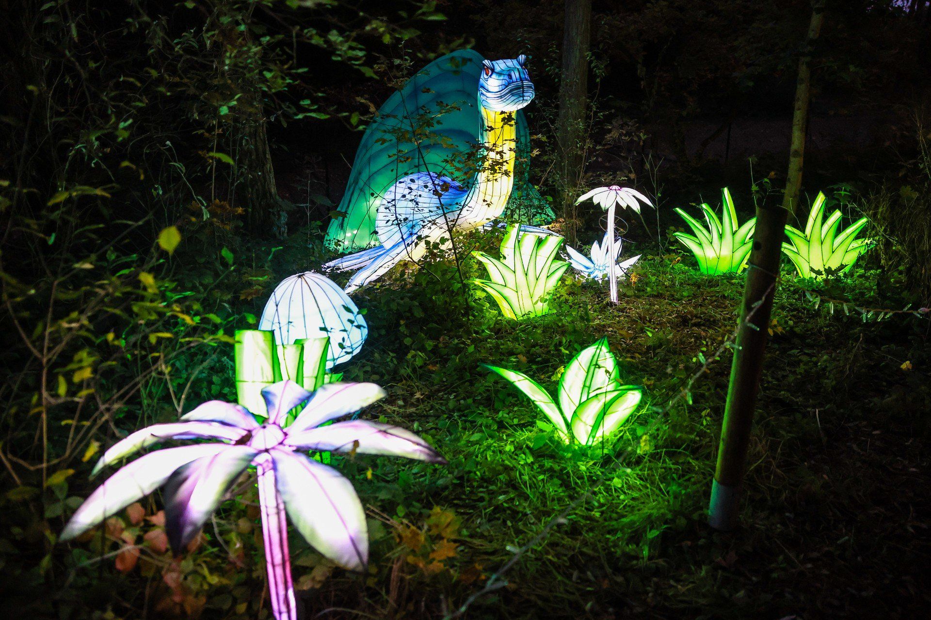 Lumina Park 2025