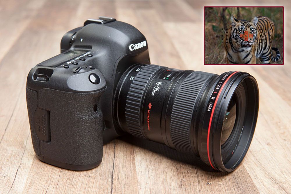 Podświetlanie punktów AF w Canonie 5D MK III może nie być możliwe? 1