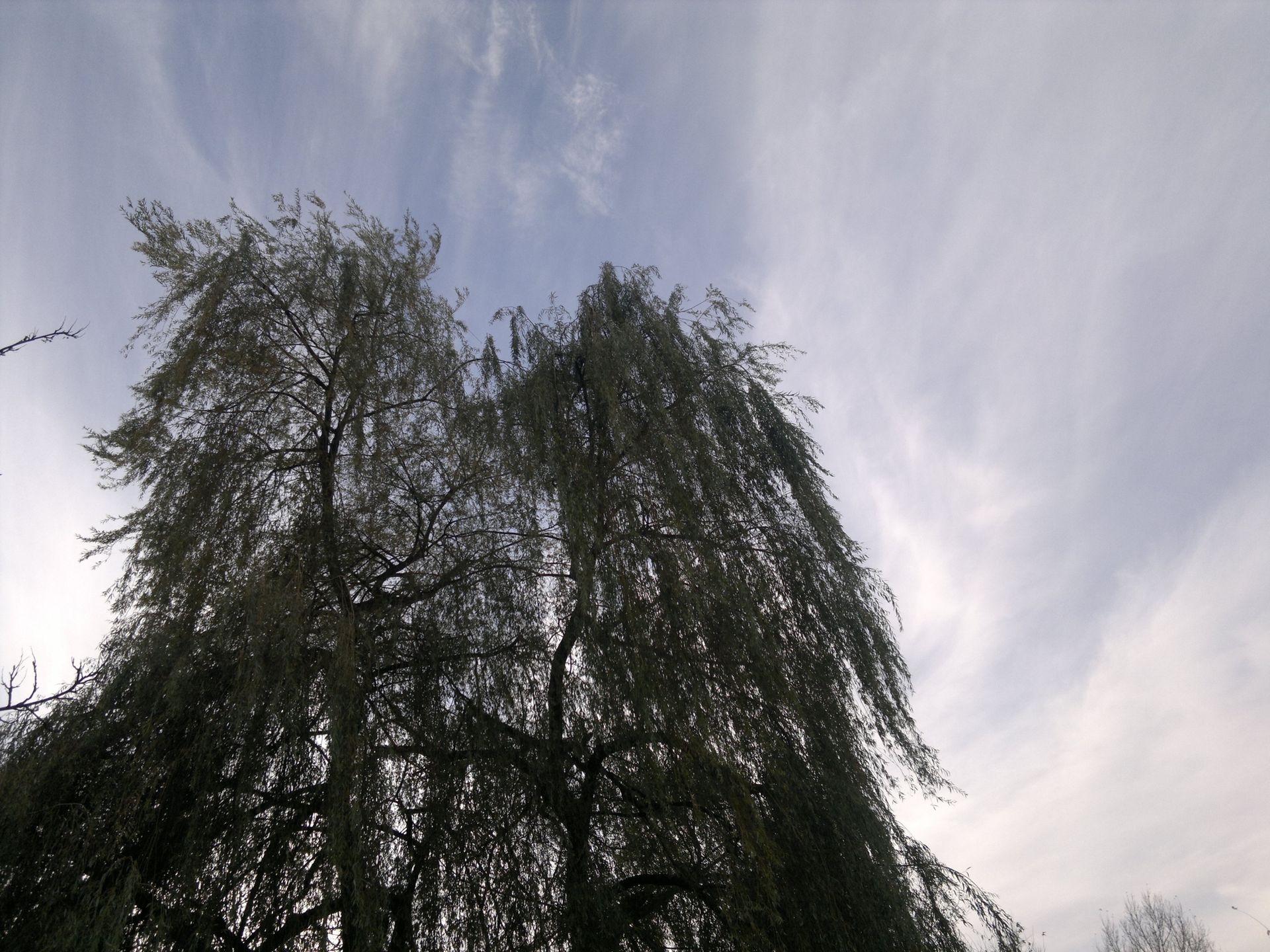 Nokia N8 - test [część 3] 14