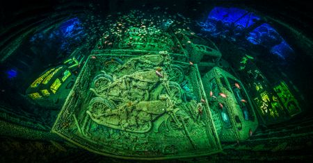 Underwater Photographer of the Year 2018 - niesamowity podwodny świat na wyciągnięcie ręki