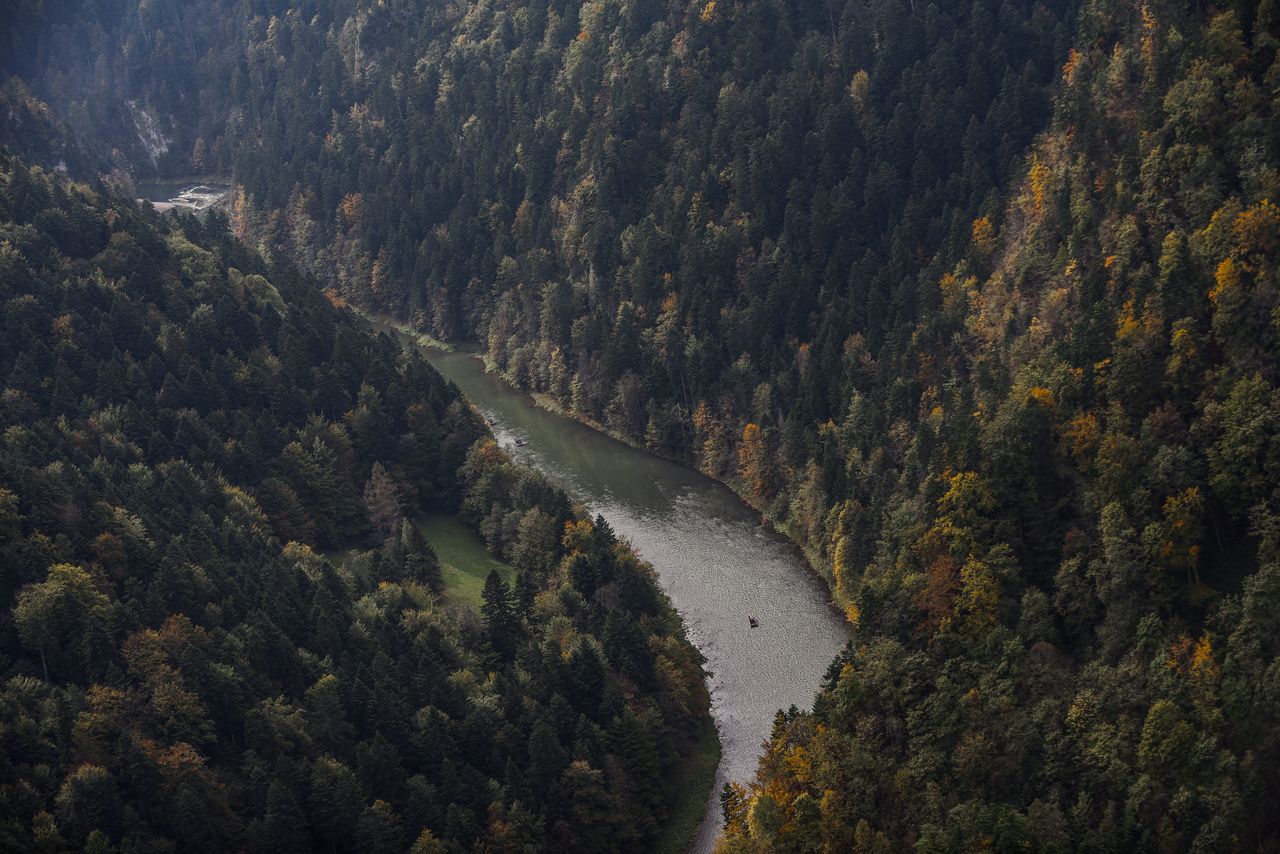 Makabryczne znalezisko w Dunajcu. Wyłowiono ciało 