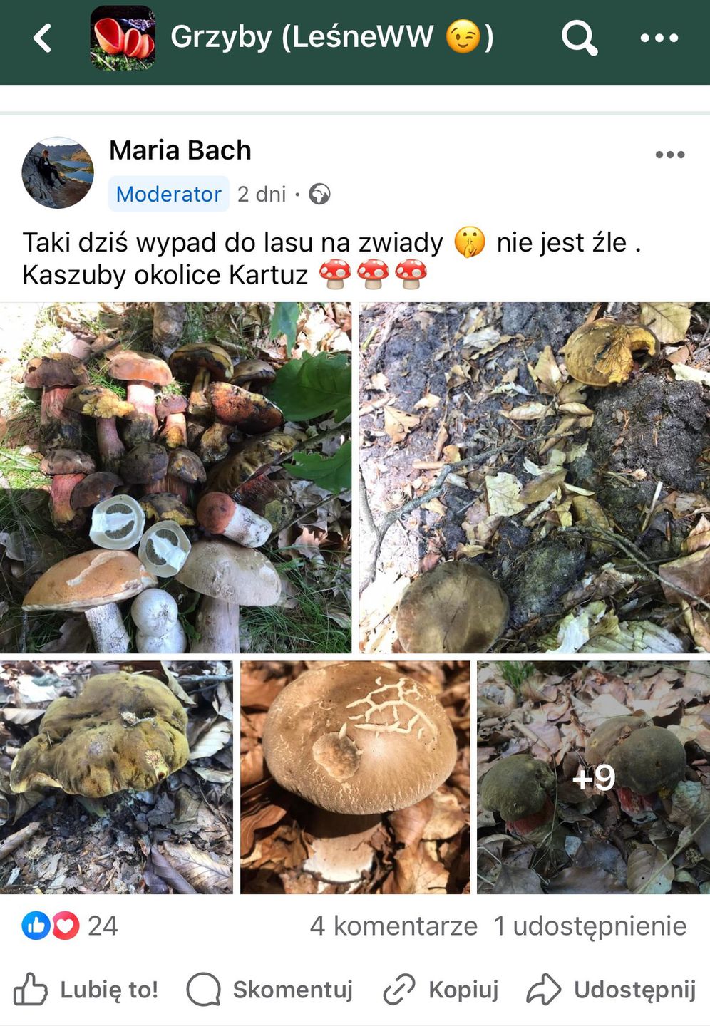 Czerwcowe zbiory 