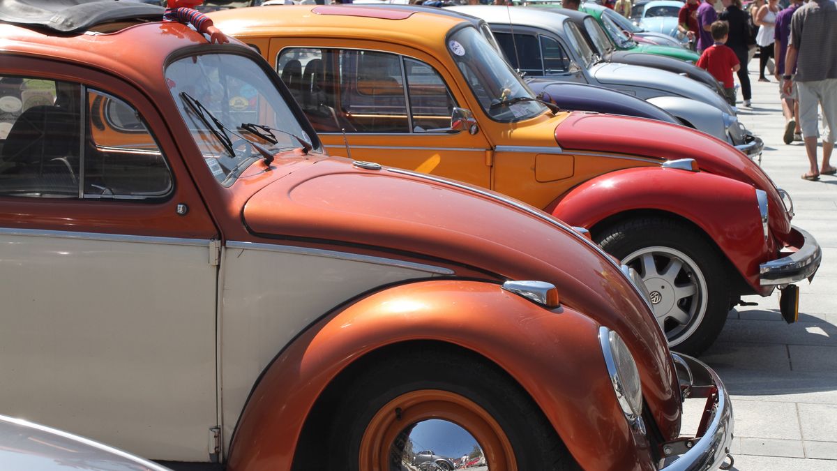 Garbusy mają swoich wielbicieli