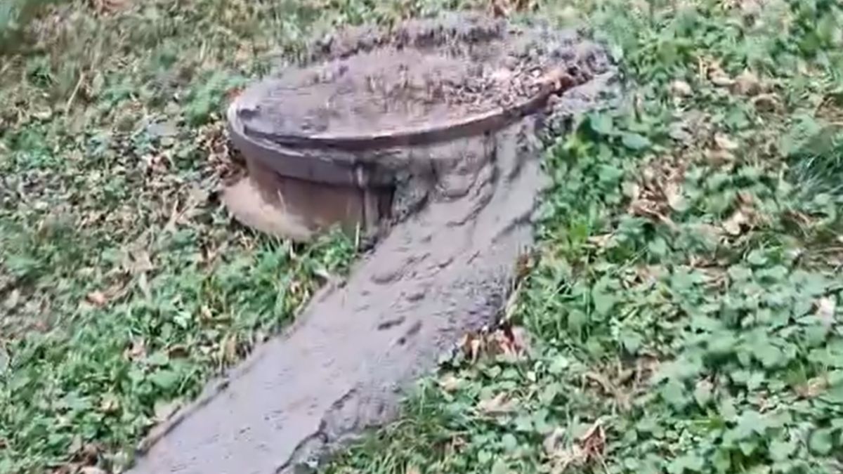 Wylewające się fekalia ze studzienki