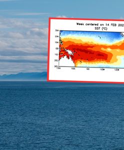 La Niña zastąpi "chłopczyka". Na całym świecie mogą wystąpić anomalie pogodowe