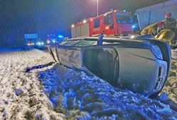 Przewoził oplem dwa cielaki. Doszło do wypadku