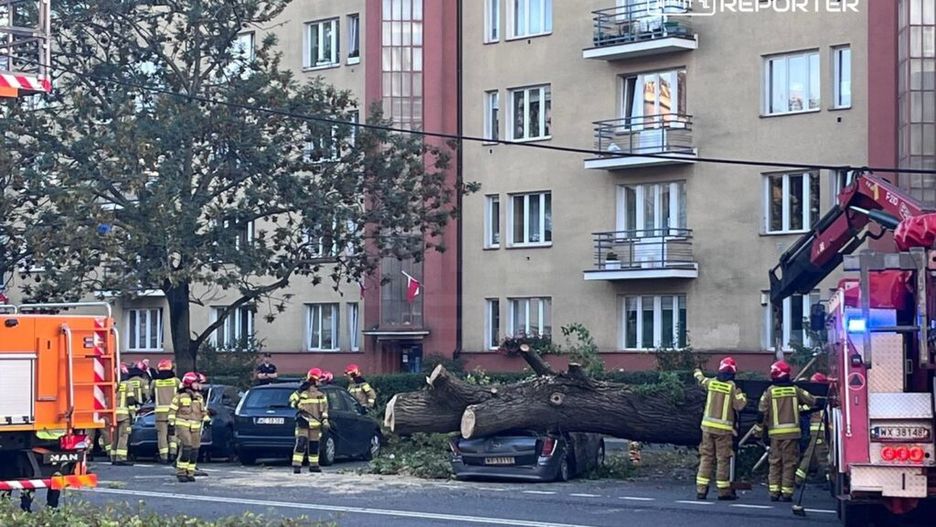 Strażacy w kaskach pracują nad ściętym drzewem, które przewróciło się na zaparkowane samochody obok budynku mieszkalnego.