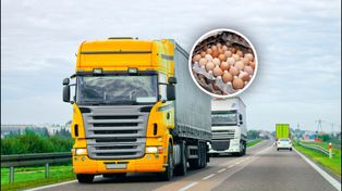 Transport z Ukrainy zatrzymany. To miało trafić do sprzedaży w Polsce