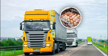 Transport z Ukrainy zatrzymany. To miało trafić do sprzedaży w Polsce
