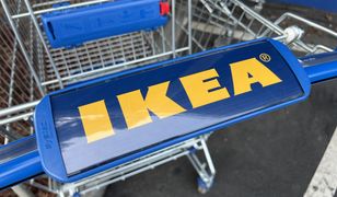 "Dzikie tłumy" w popularnej sieci. Polacy w majówkę pojechali po meble