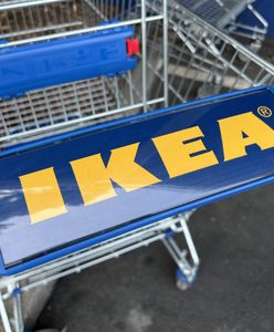 "Dzikie tłumy" w popularnej sieci. Polacy w majówkę pojechali po meble