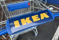 "Dzikie tłumy" w popularnej sieci. Polacy w majówkę pojechali po meble