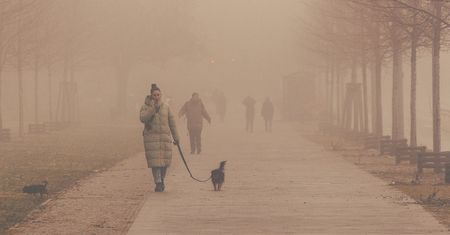 IMGW ostrzega: noc z gęstą mgłą we Włocławku. Widoczność może być fatalna